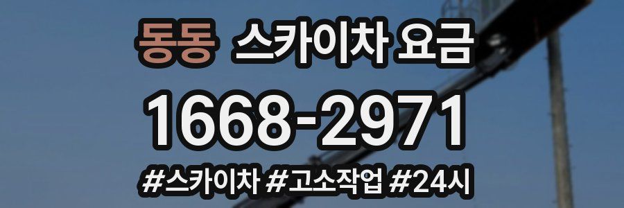 동동 스카이차 요금