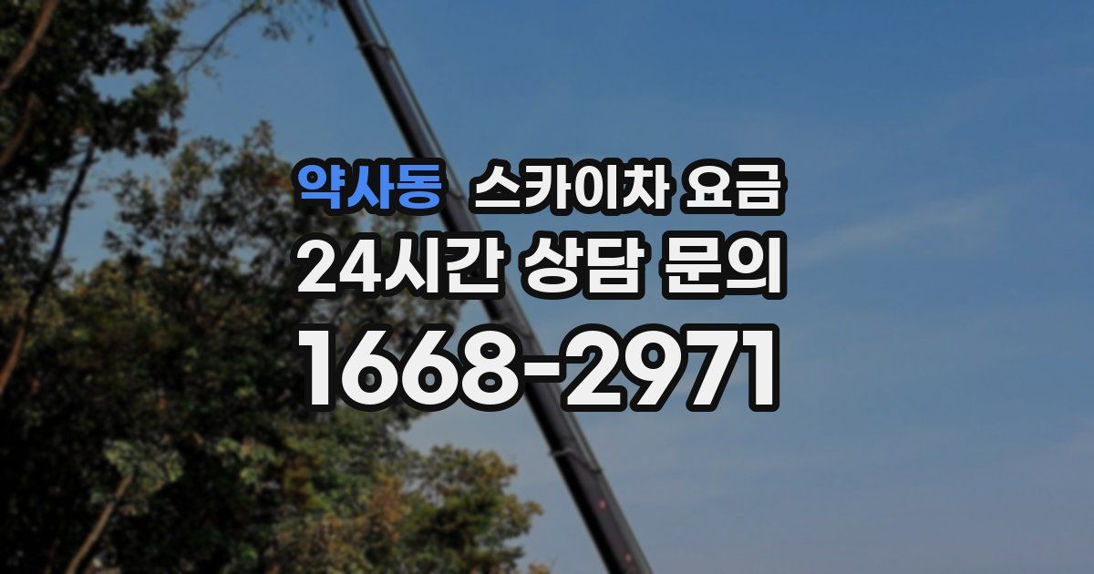 약사동 스카이차 요금