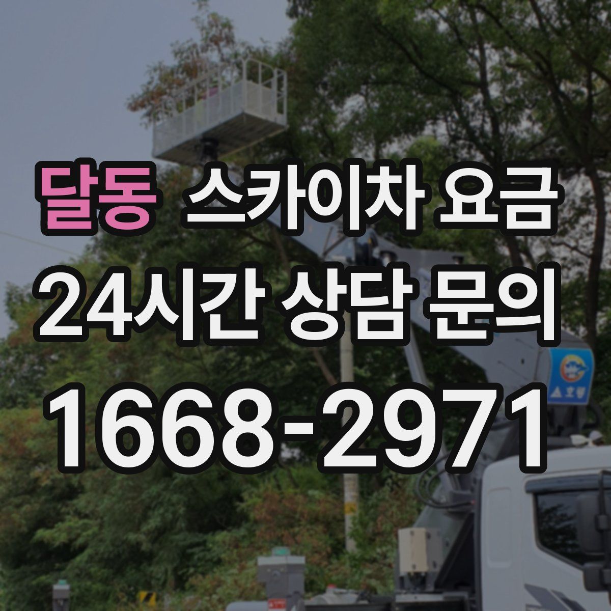 달동 스카이차 요금