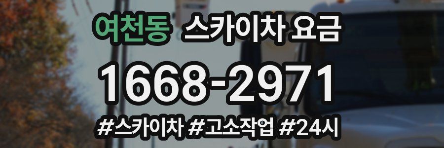 여천동 스카이차 요금