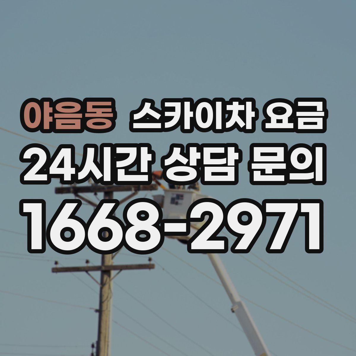 야음동 스카이차 요금