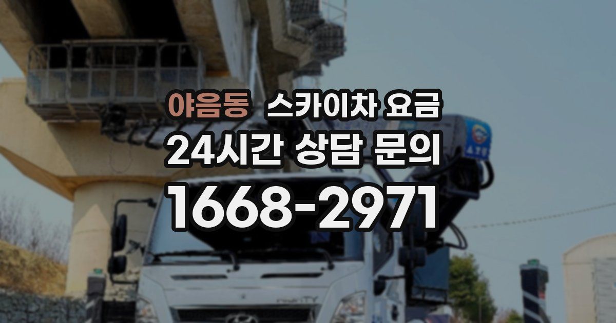 야음동 스카이차 요금