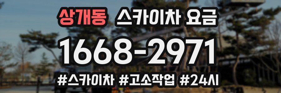 상개동 스카이차 요금
