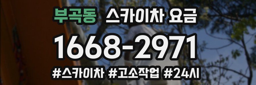 부곡동 스카이차 요금
