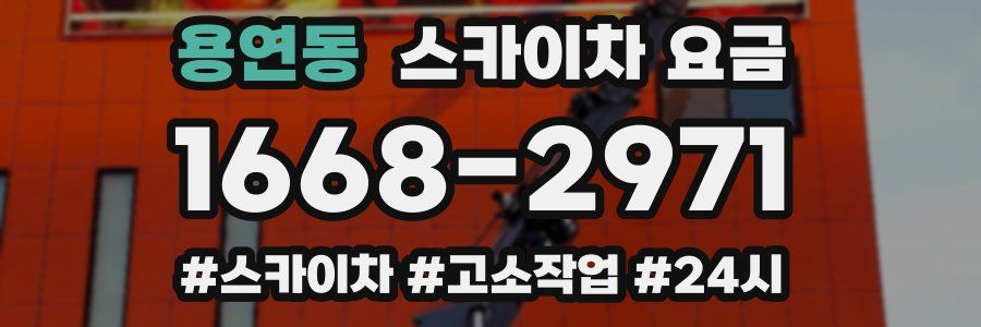 용연동 스카이차 요금
