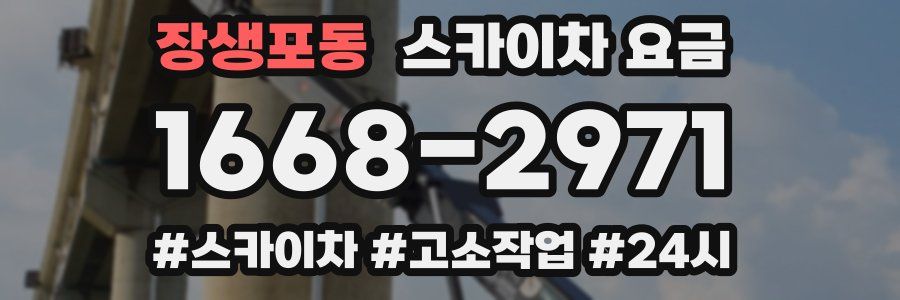 장생포동 스카이차 요금