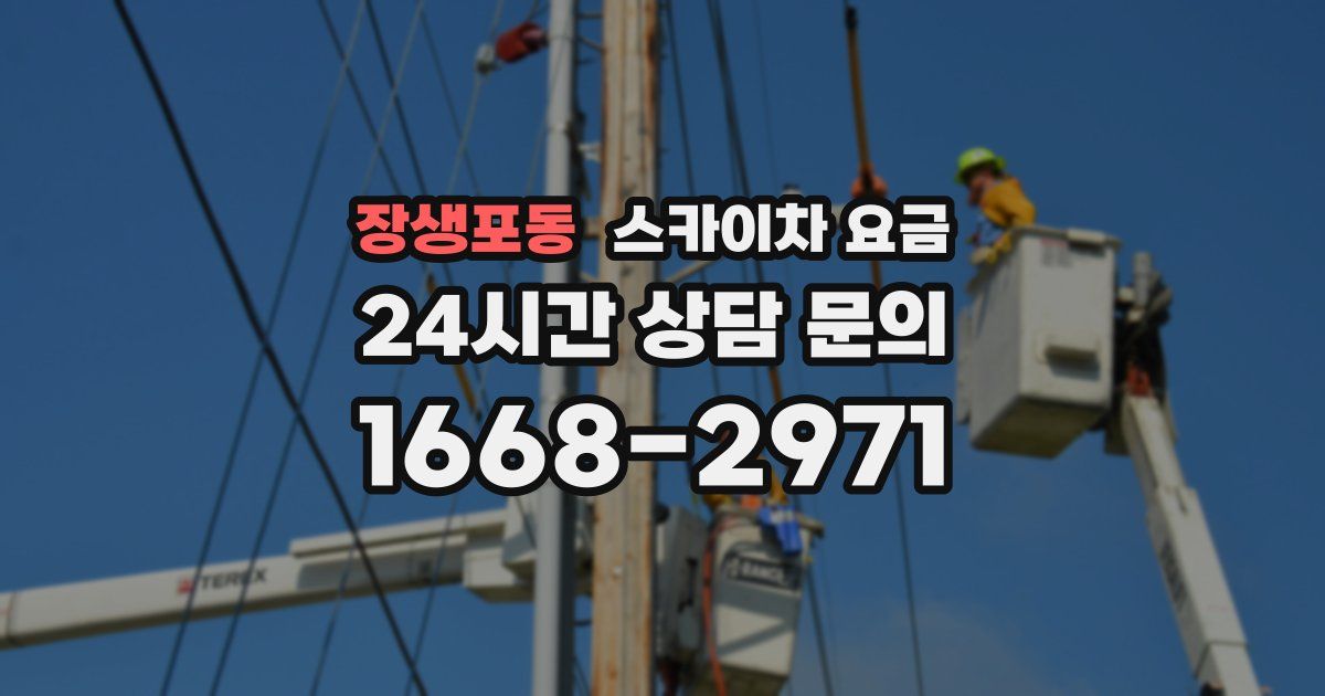장생포동 스카이차 요금