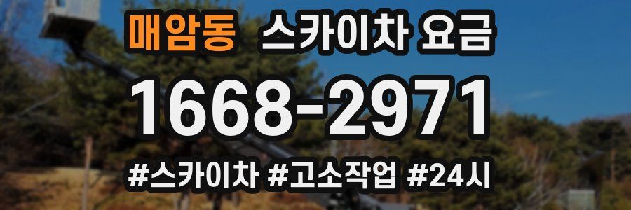 매암동 스카이차 요금
