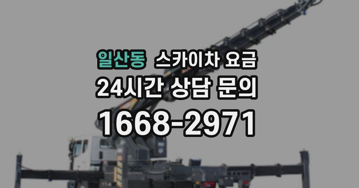 일산동 스카이차 요금