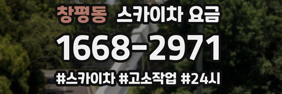 창평동 스카이차 요금