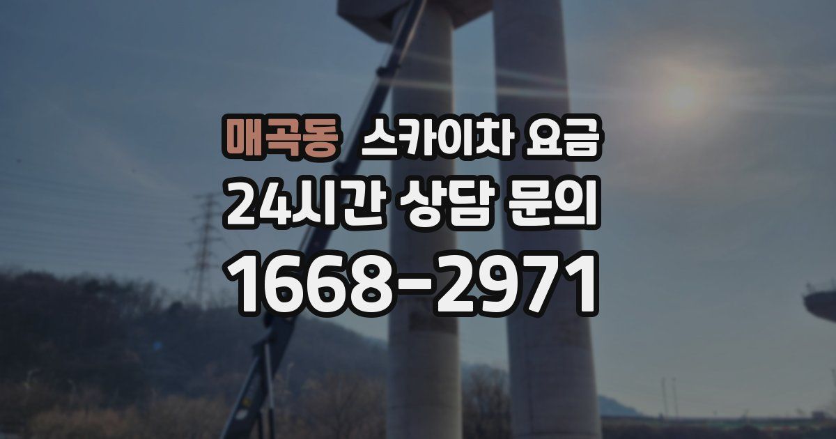 매곡동 스카이차 요금