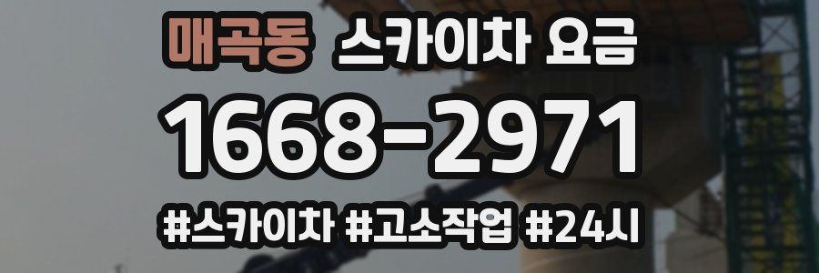 매곡동 스카이차 요금