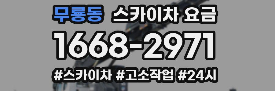 무룡동 스카이차 요금