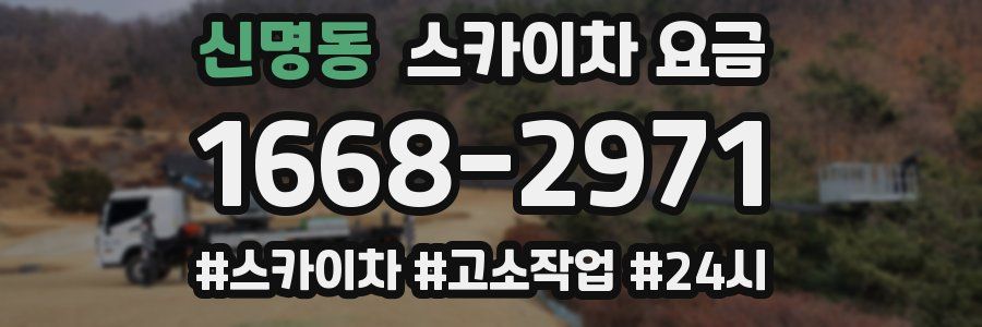 신명동 스카이차 요금
