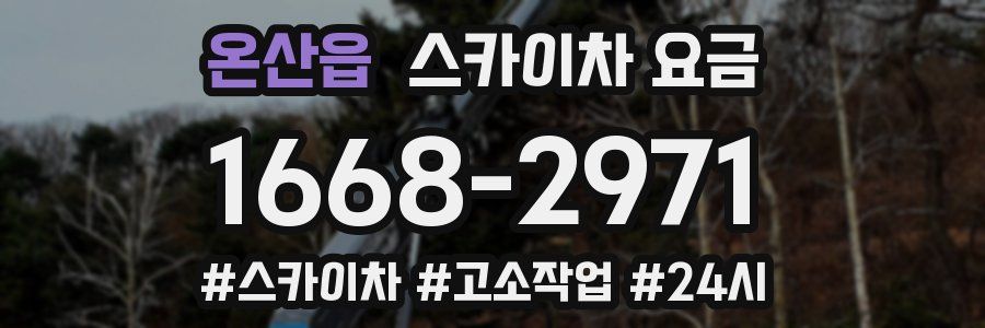 온산읍 스카이차 요금