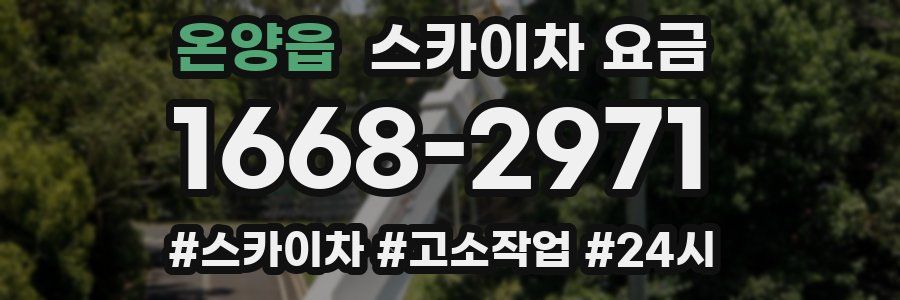 온양읍 스카이차 요금