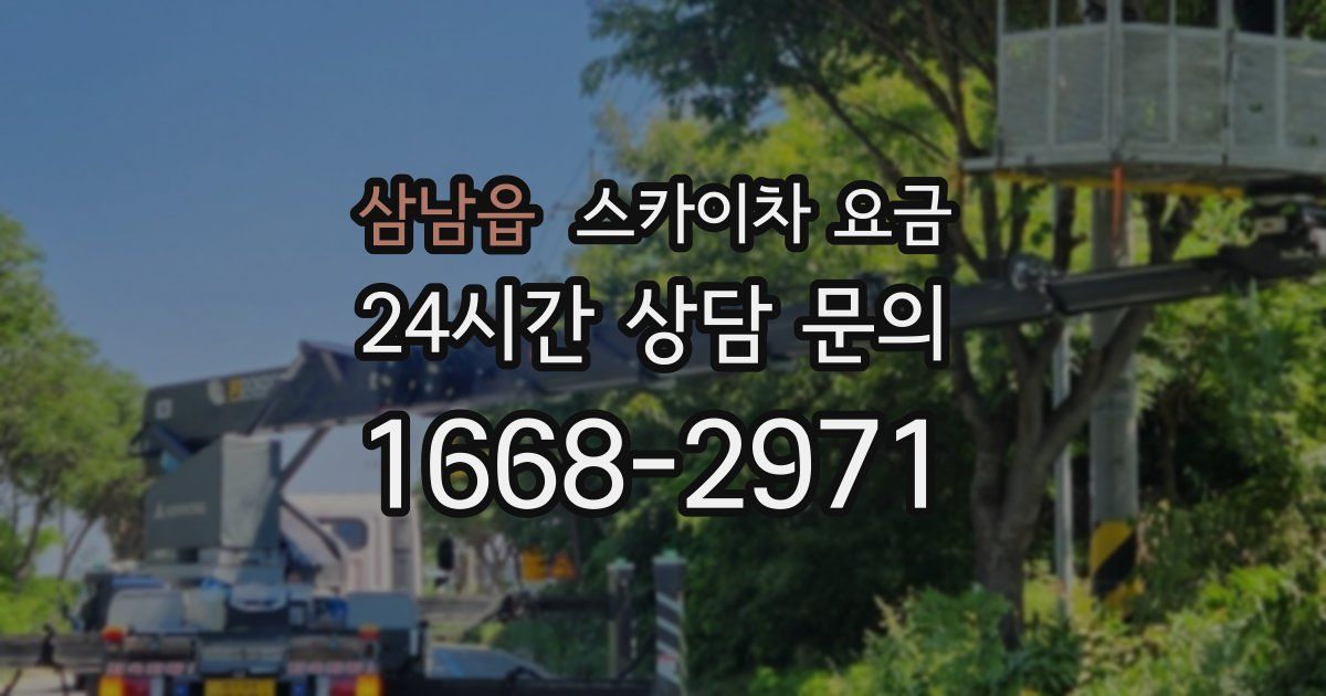 삼남읍 스카이차 요금