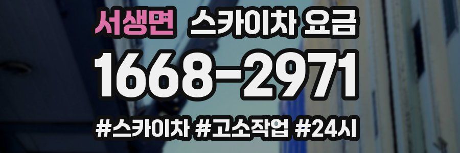 서생면 스카이차 요금