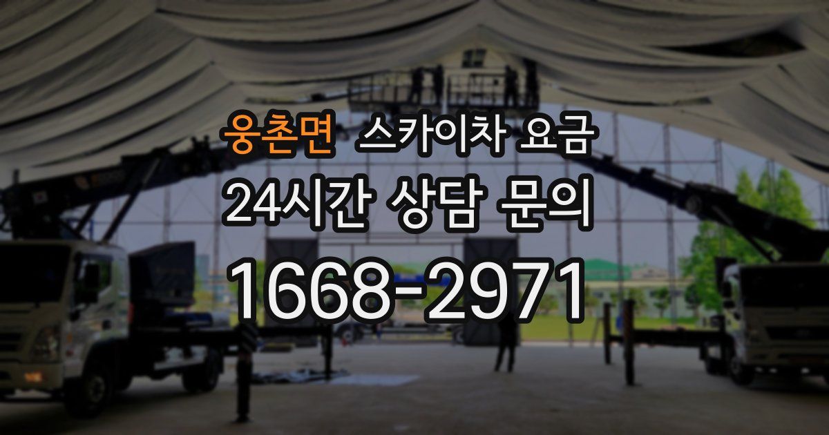 웅촌면 스카이차 요금