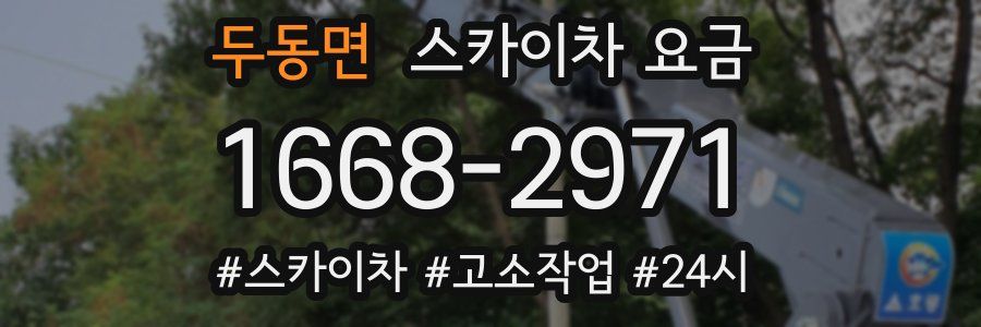 두동면 스카이차 요금