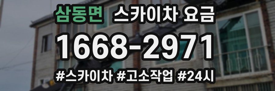 삼동면 스카이차 요금