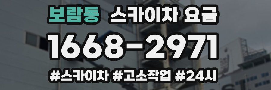 보람동 스카이차 요금