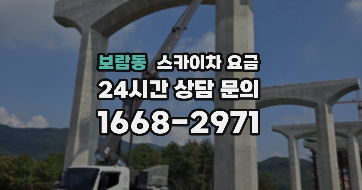 보람동 스카이차 요금