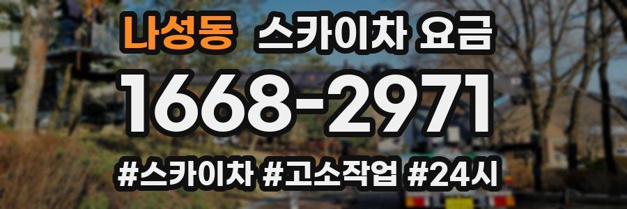 나성동 스카이차 요금