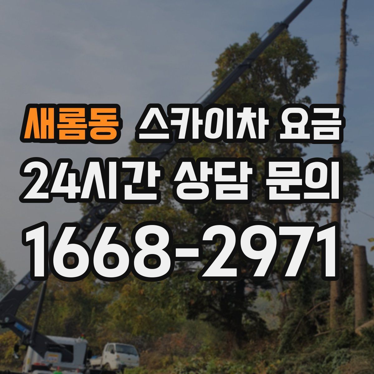 새롬동 스카이차 요금