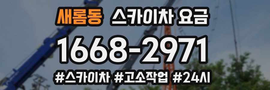 새롬동 스카이차 요금