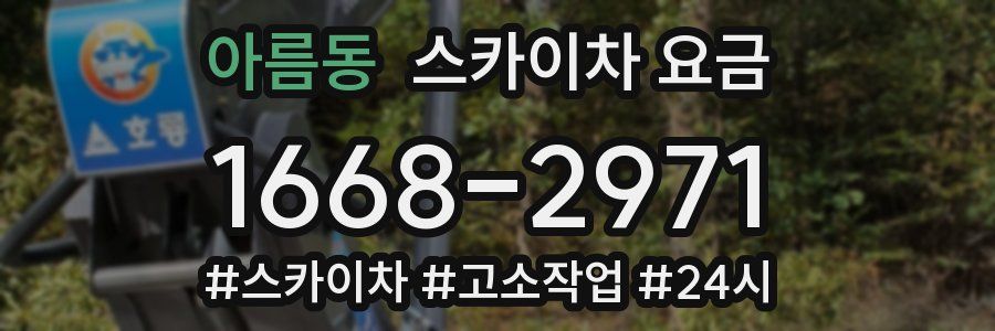 아름동 스카이차 요금