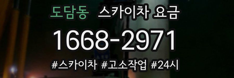 도담동 스카이차 요금