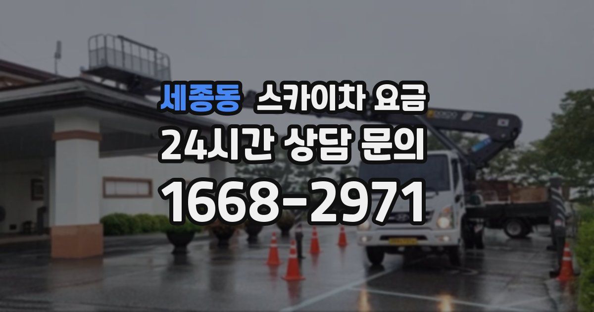 세종동 스카이차 요금