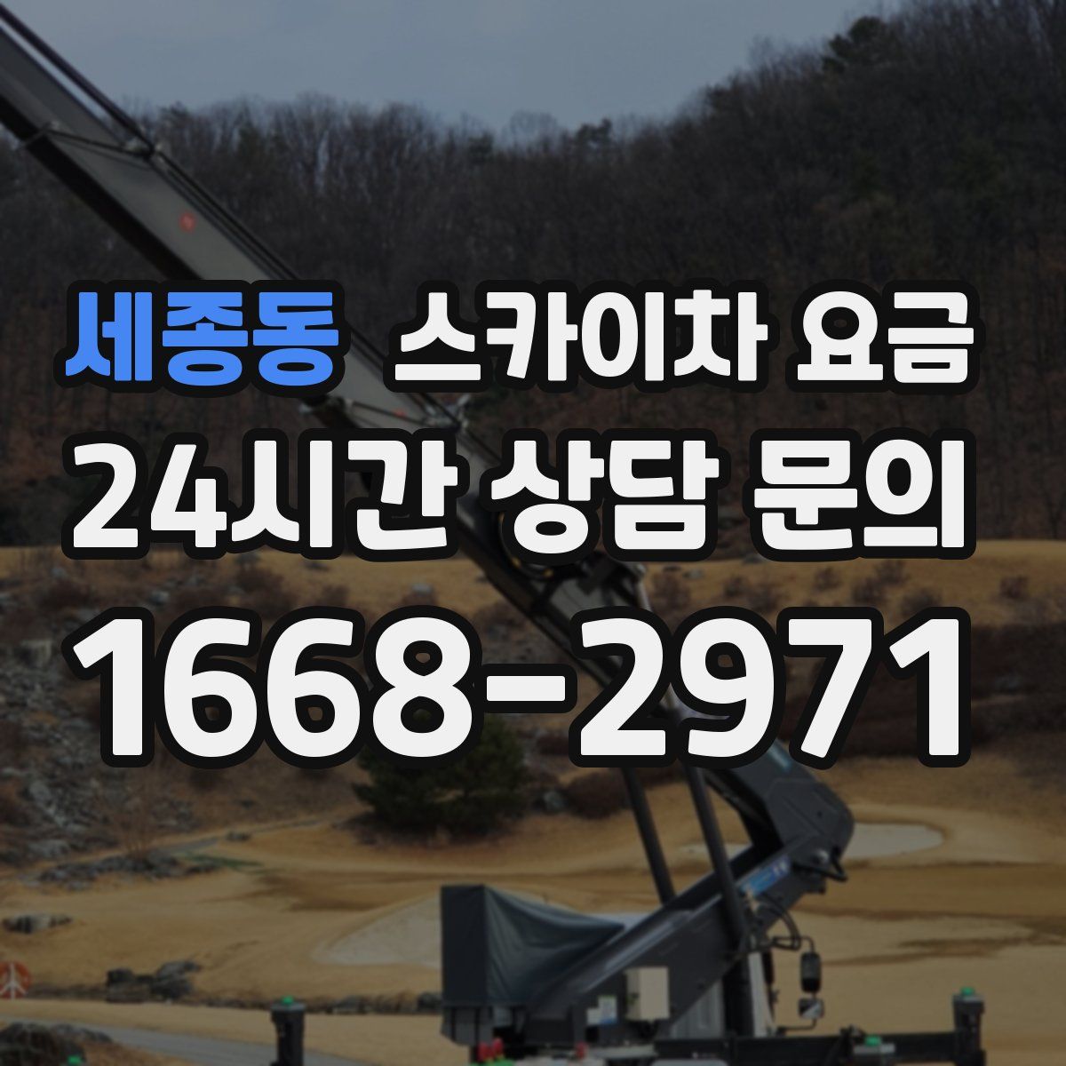 세종동 스카이차 요금