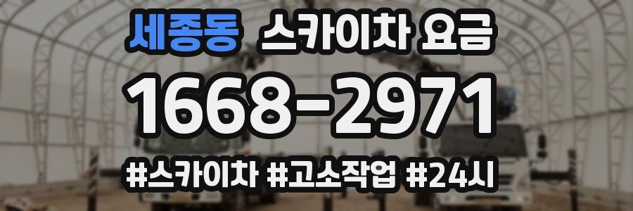 세종동 스카이차 요금