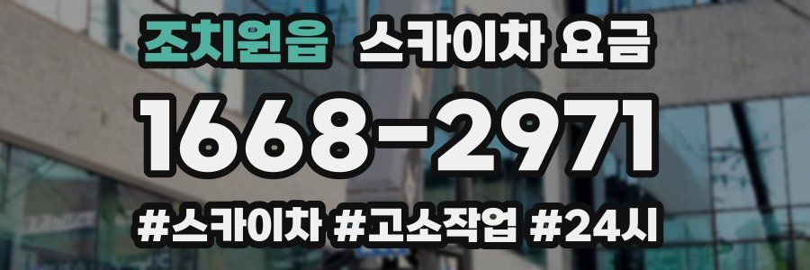 조치원읍 스카이차 요금