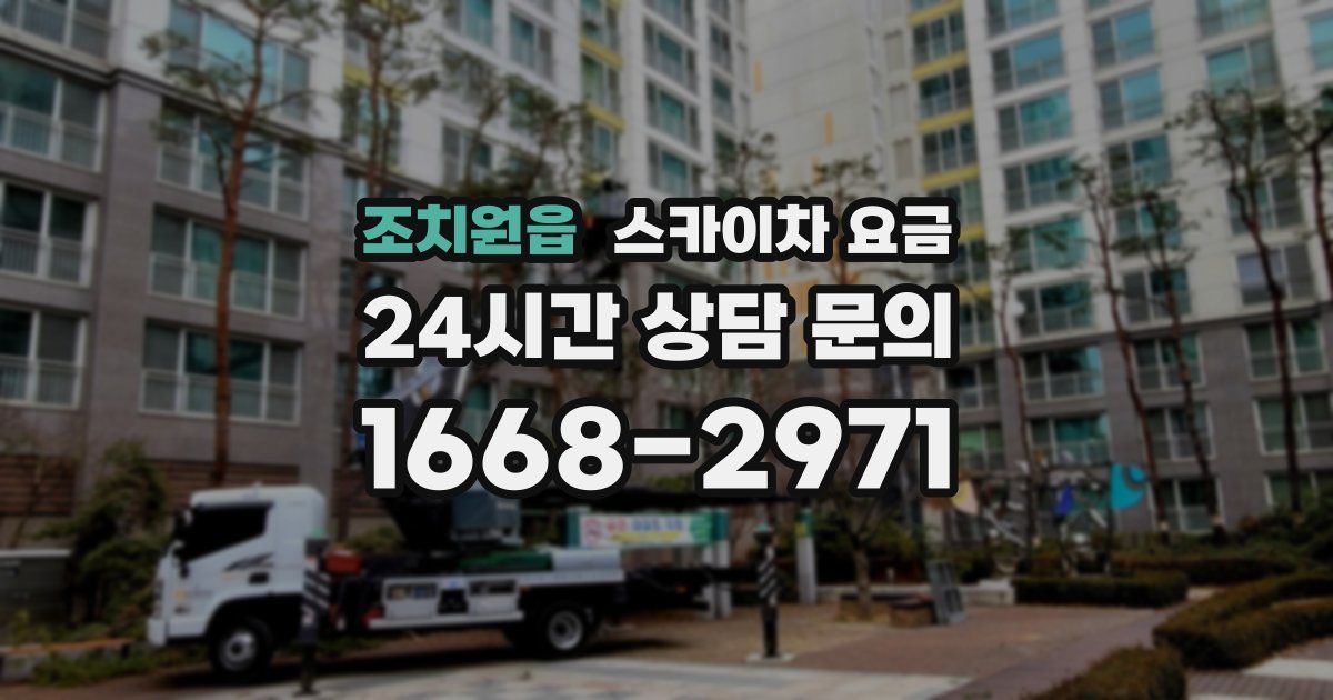 조치원읍 스카이차 요금