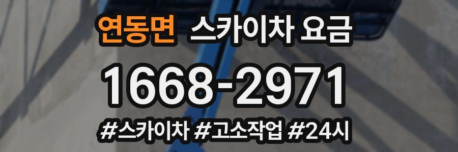 연동면 스카이차 요금