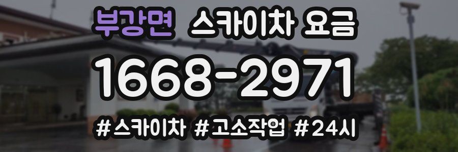 부강면 스카이차 요금