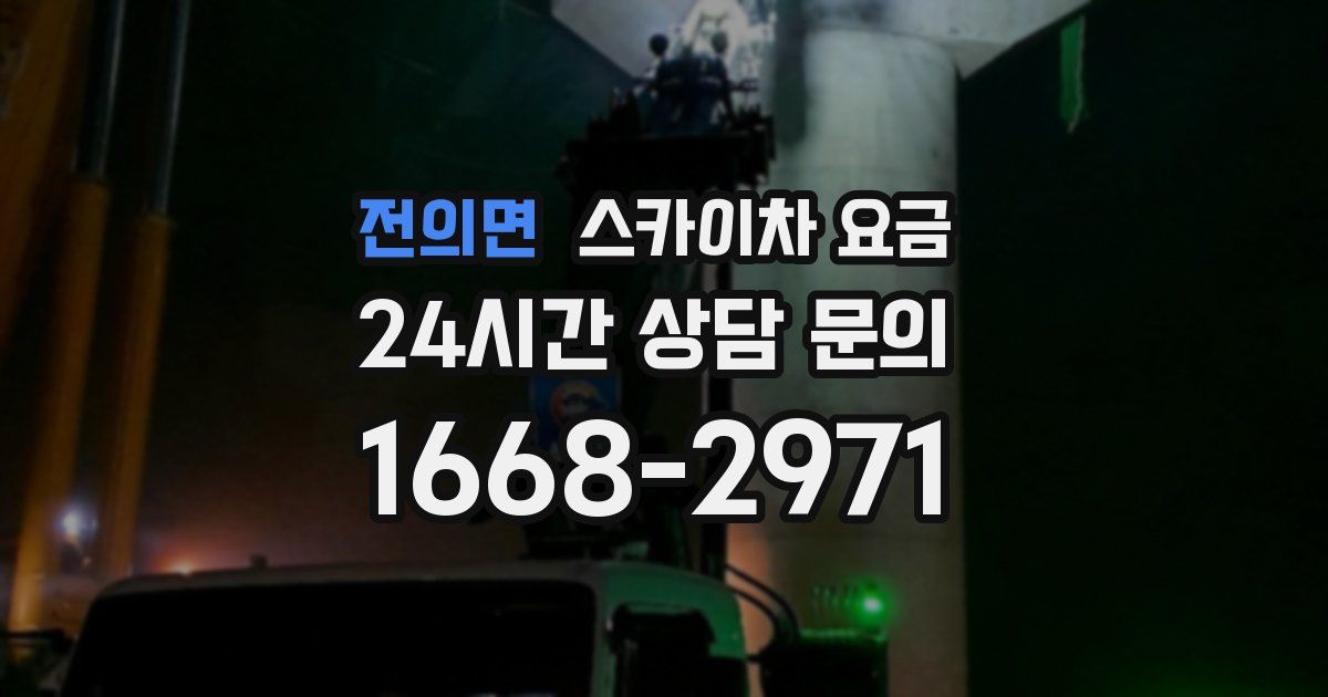 전의면 스카이차 요금