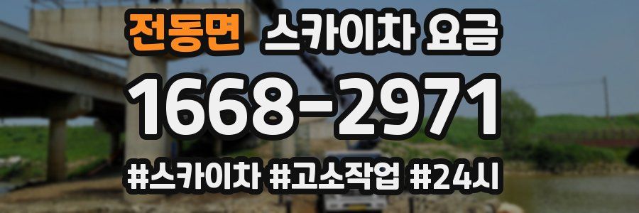 전동면 스카이차 요금