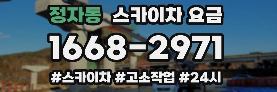 정자동 스카이차 요금
