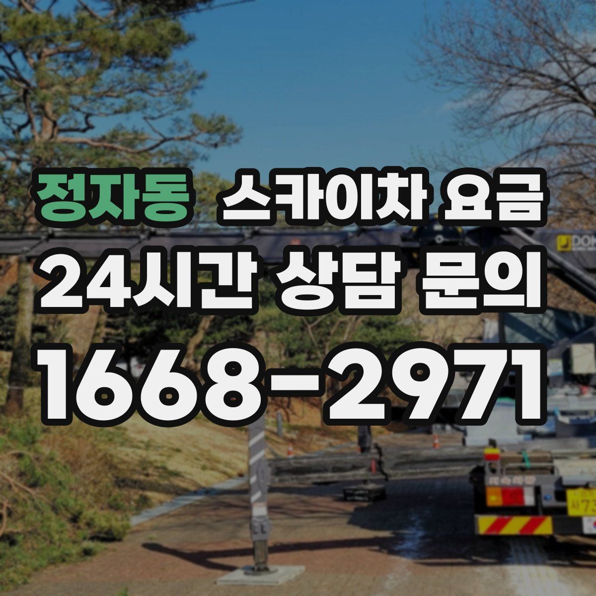 정자동 스카이차 요금