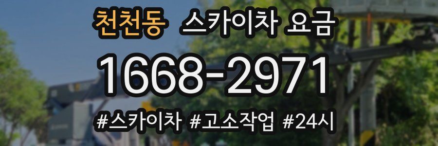 천천동 스카이차 요금