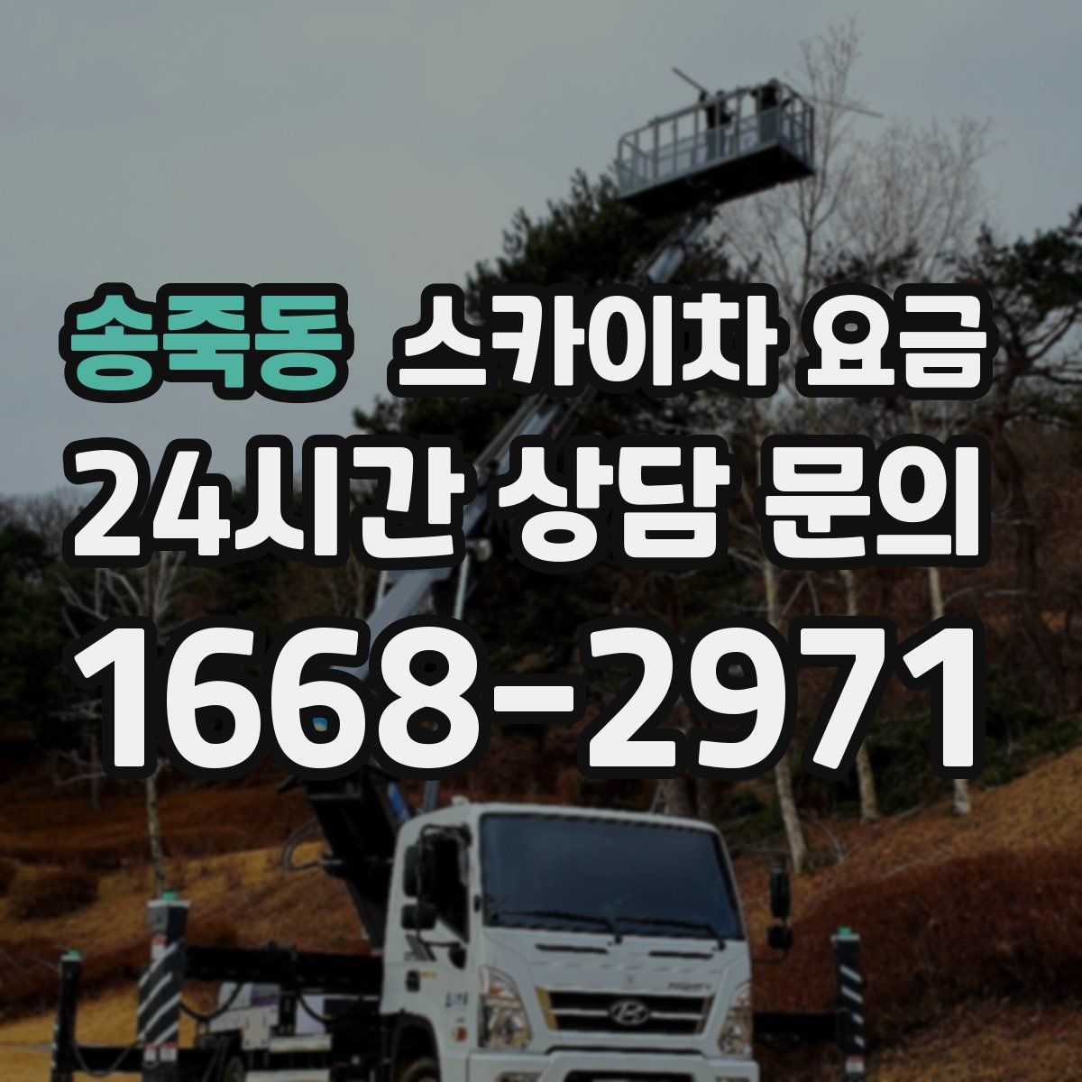 송죽동 스카이차 요금