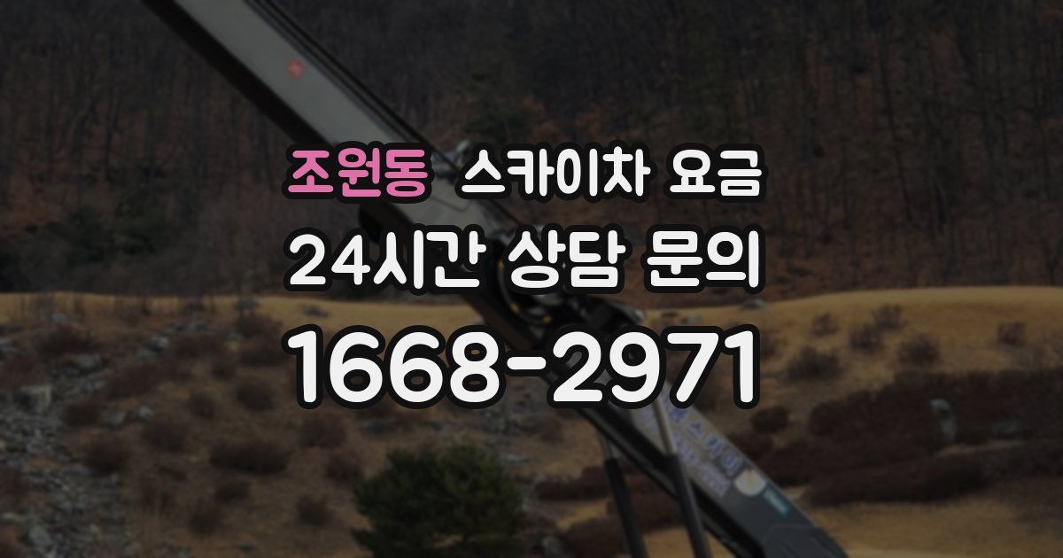 조원동 스카이차 요금