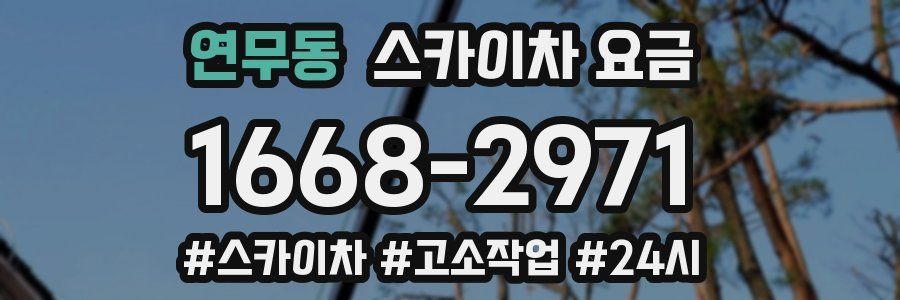 연무동 스카이차 요금