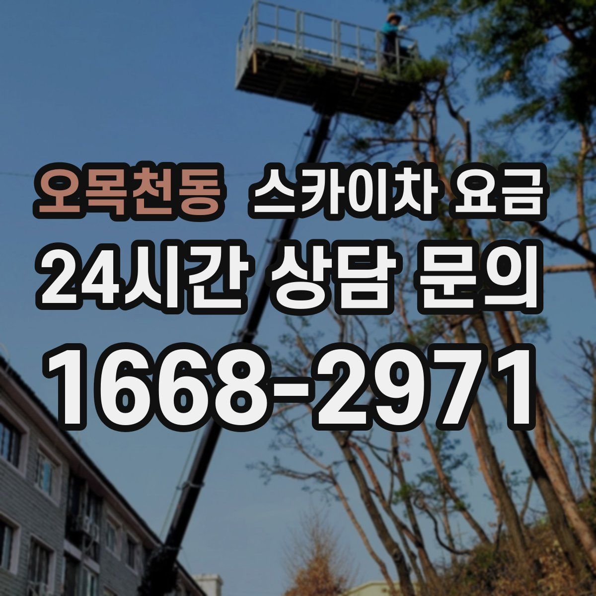 오목천동 스카이차 요금