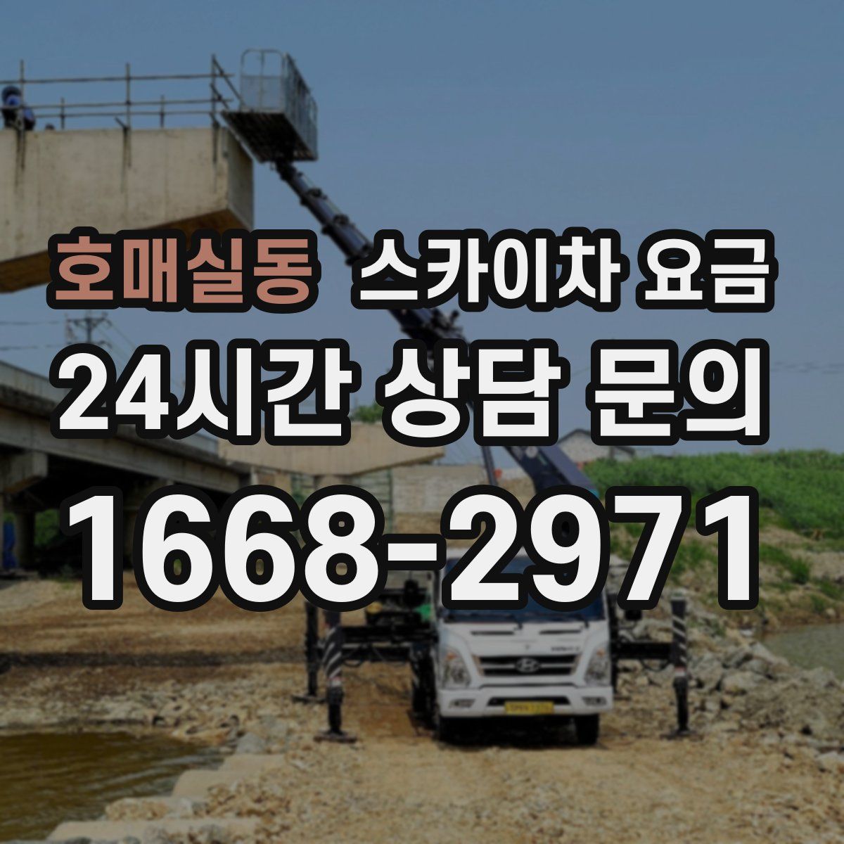 호매실동 스카이차 요금