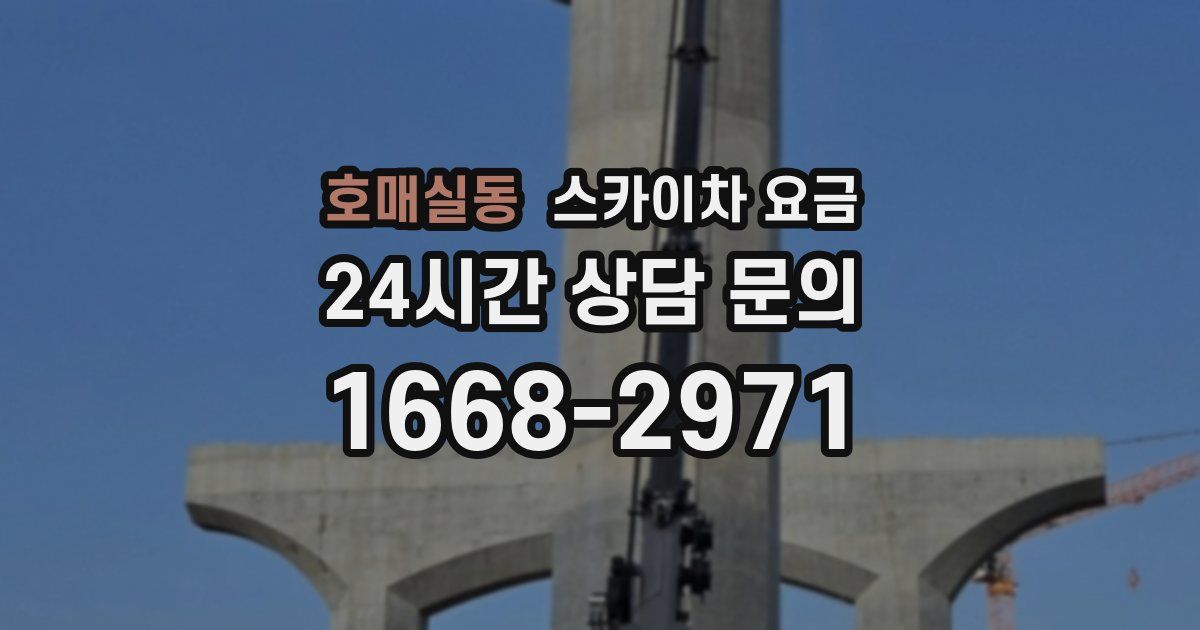 호매실동 스카이차 요금